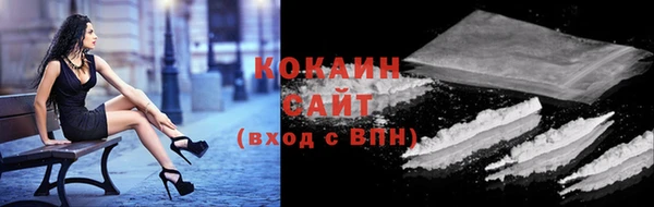 прущий лед Инсар
