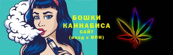 прущий лед Инсар