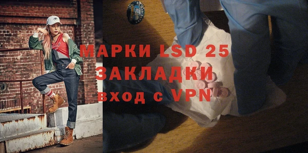 прущий лед Инсар