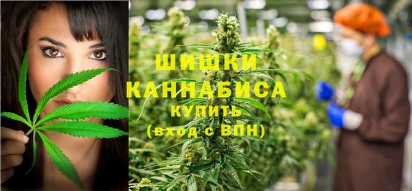 прущий лед Инсар
