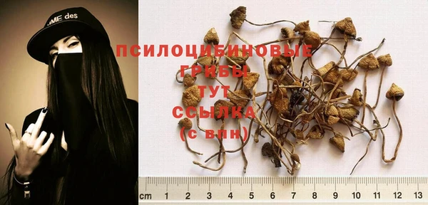 кокаин Инта