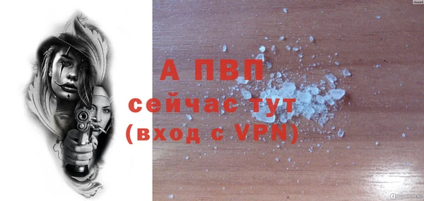 прущий лед Инсар